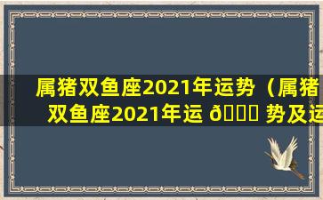 属猪双鱼座2021年运势（属猪双鱼座2021年运 🕊 势及运程）